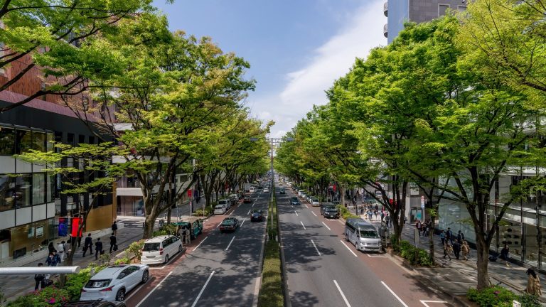 pusat-belanja-omotesando-di-tokyo-surga-belanja-dan-desain-modern